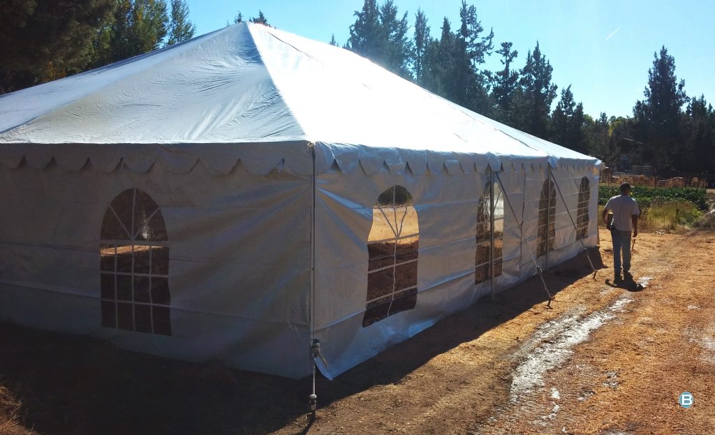 bend-crop-tent-rental